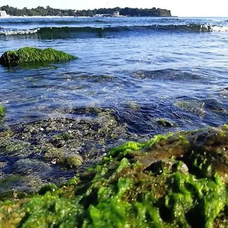 Guest house Kostovi *