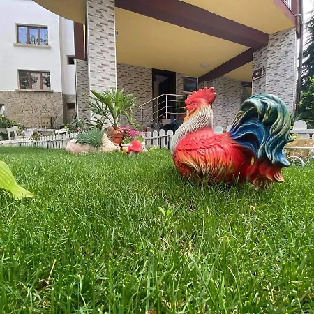 Kostovi Guest house *