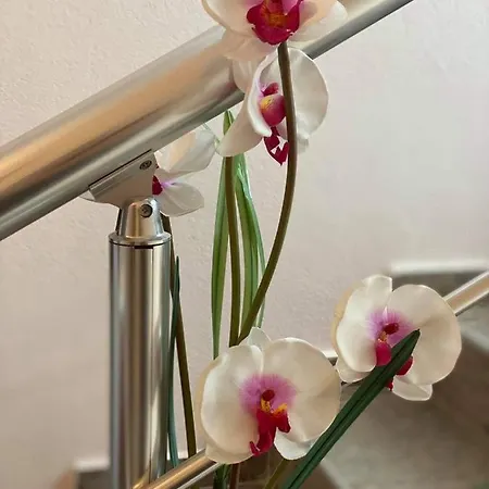 Kostovi * Kiten (Burgas)